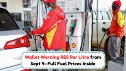 Brace Yourself: South Africa’s Petrol Price to Skyrocket to R25 Per Litre by September 2025