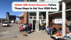 Lost Your R350? Discover the Complete SASSA SRD Grant Recovery Process Now