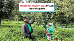 Western Cape Farmers to Receive R25,000 Each in 2025 Drought Aid – See If You Qualify!