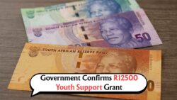 Attention South African Youth: Secure Your R12,500 Support Grant Starting August 20!